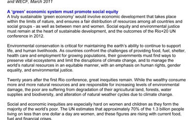 WomengreeneconomypositionpaperMARCH6docx-1