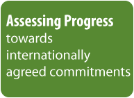assessingprogresstowardscommitments